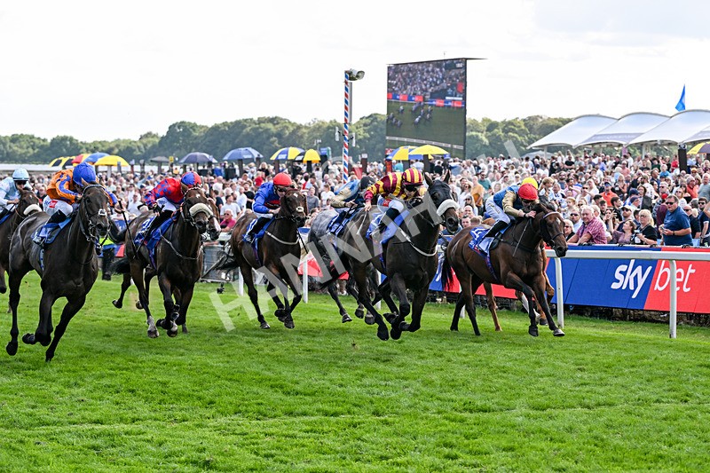 220826-Race 5-Sondad-1093 - Race 5 16.10pm Sky Bet Constantine Handicap