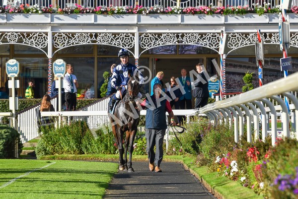 141023-Race 5-Certain Lad-1362 - Race 5 3.35pm Coral Racing Bet Bundles Handicap