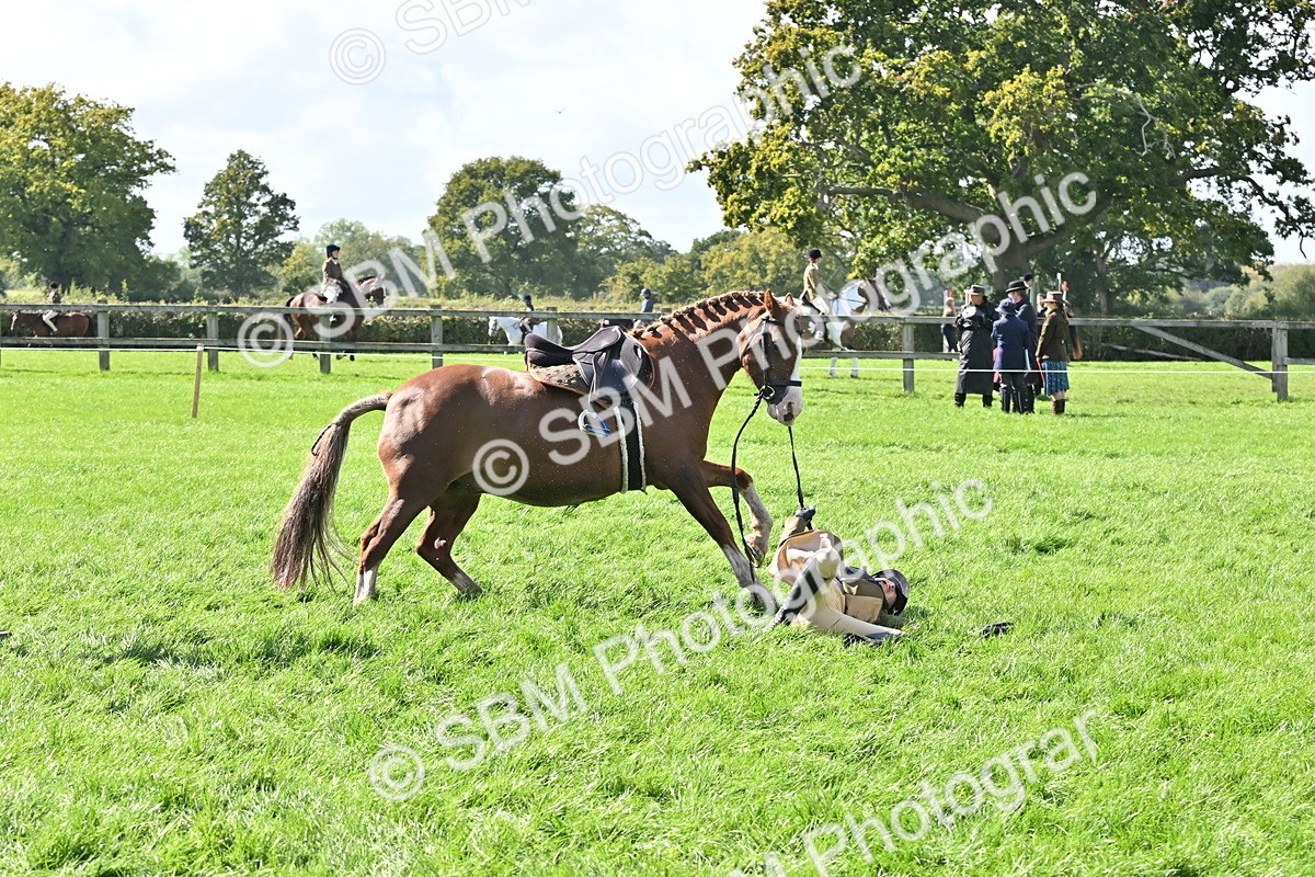 SBM_44543 - S13 - Pony Club Pony