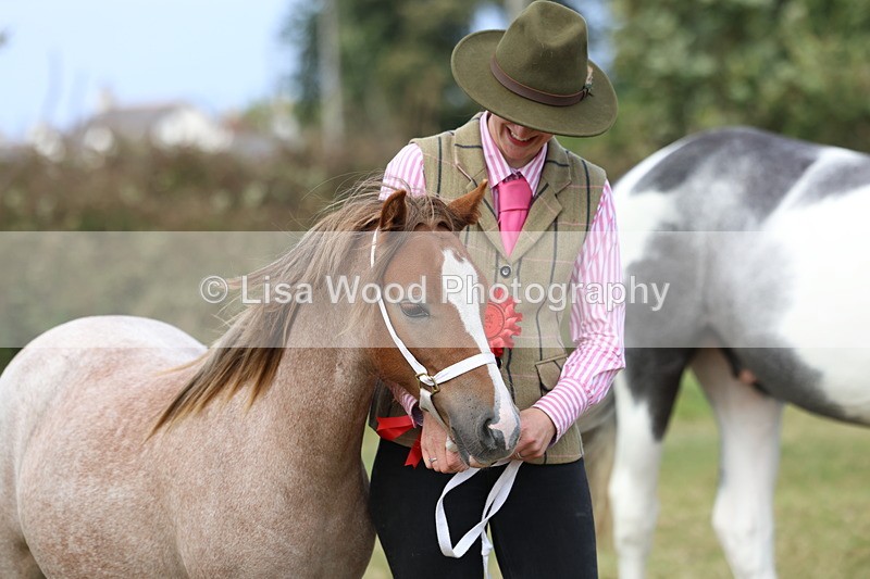 3E7A5440 - Class 19: Best Coloured in Hand