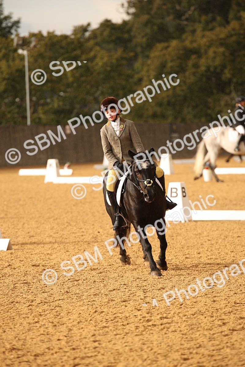 SBM_12366 - D3 Small  Tour Championship Intro A