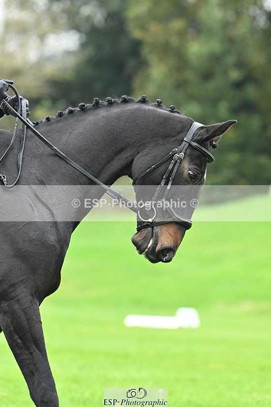 241024-145253-04632 - 421-Marie.Webber-BENNY'S.DOUBLE.DIAMOND