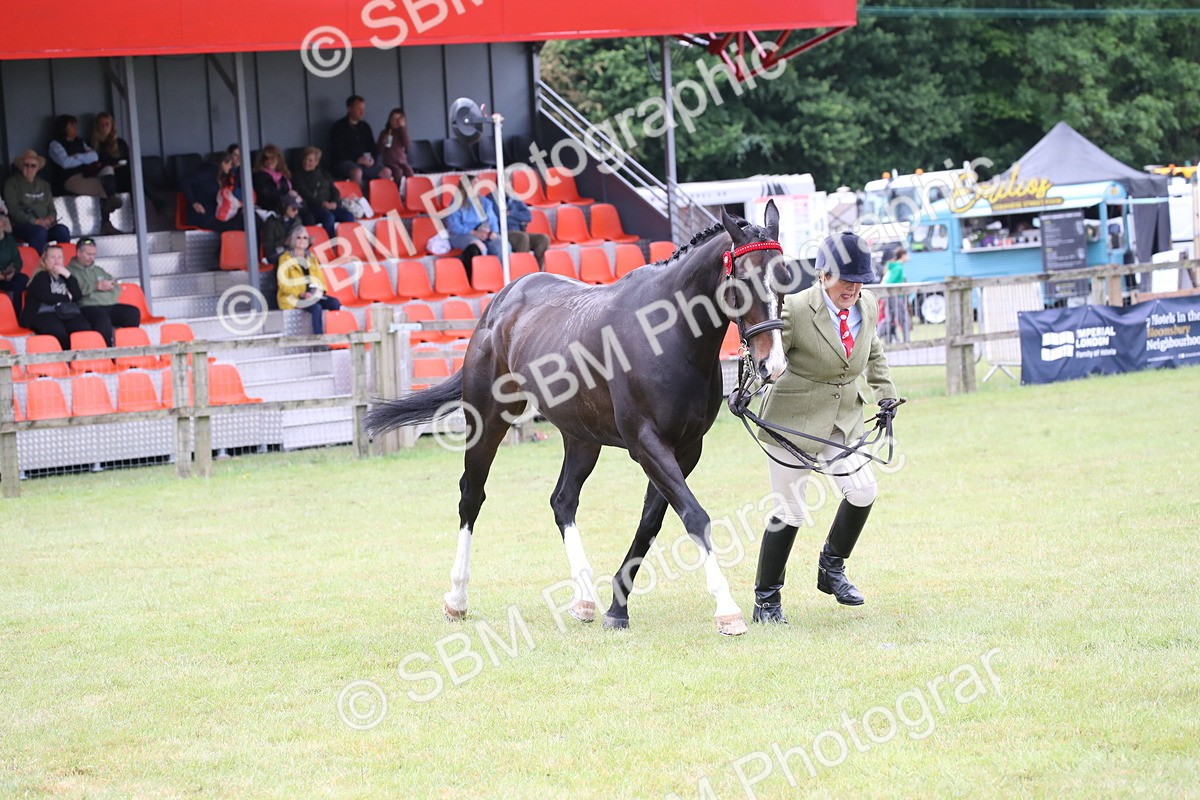 SBM_11460 - Class 94 - LIHS BSHA Racehorse to Showhorse