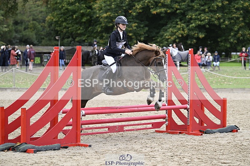 251005A-130329-04028 - Cls 08 Mini 70-75cm