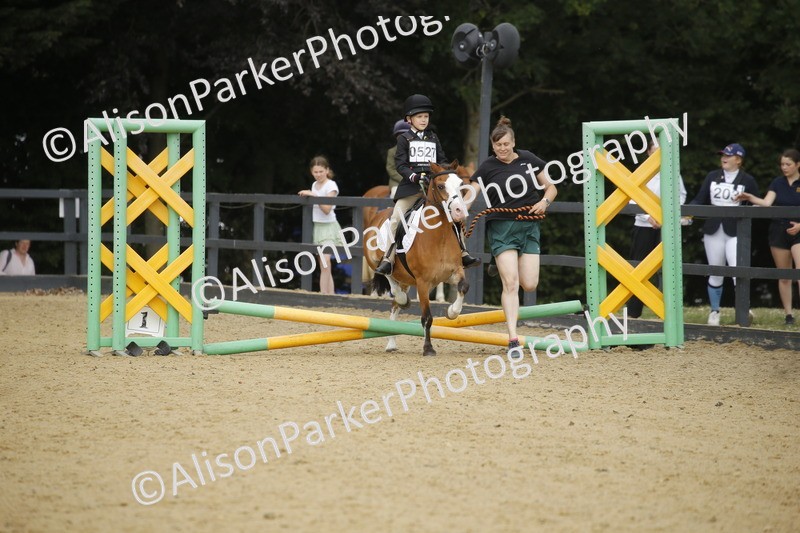 20250622-1487 - 40cm