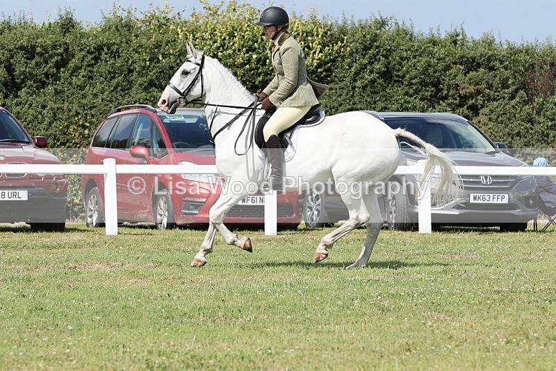 JPP_2423 - Class 19: Working Hunter 60cm