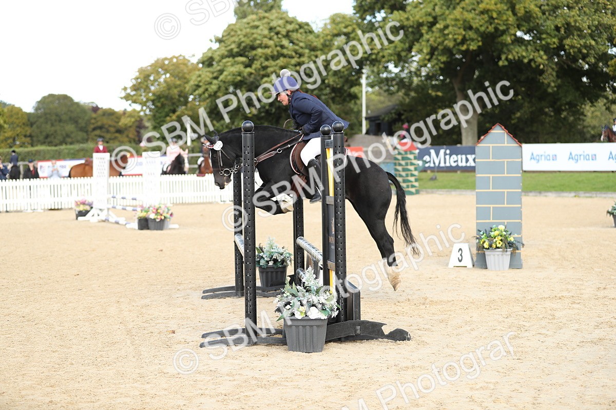 SBM_08499 - J30 - Senior Horse & Pony 70cm Championship