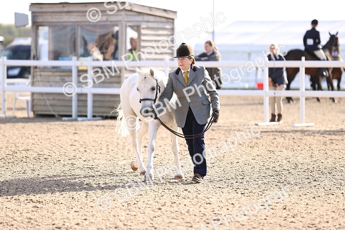 SBM_08521 - Class 402 - IH Veteran Pony