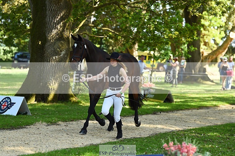 230524-161124-00742 - 254-PURE_TRENDSETTER-Ellie_Fredericks-WEDTrotUp+DR