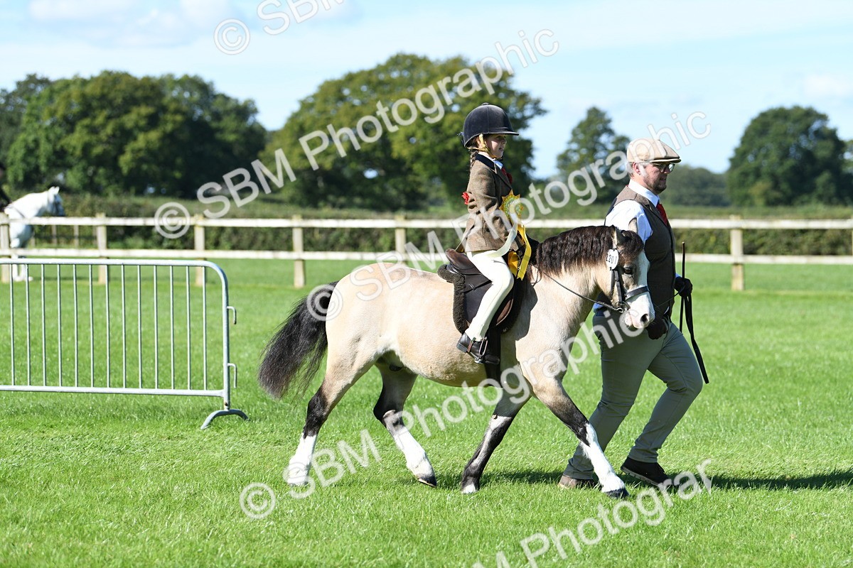SBM_37109 - S18 - Novice & Newcomers Lead Rein Pony