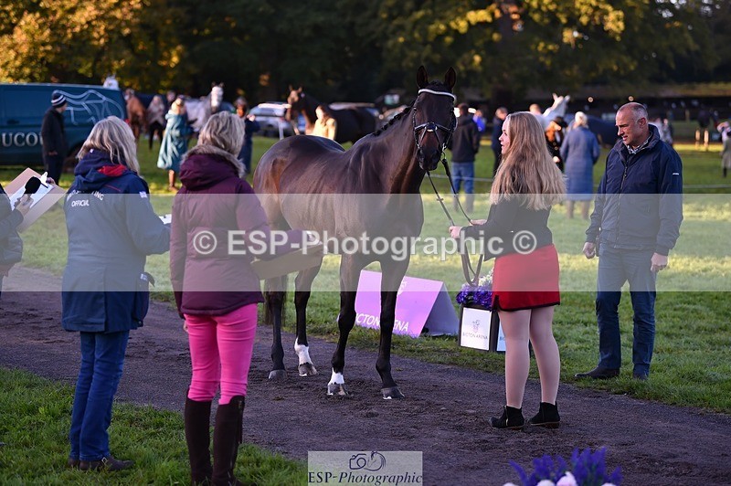 231022-083936-21279 - 611-PASTORAL.DANCER-Dana.Bateman-TrotUp+SJ