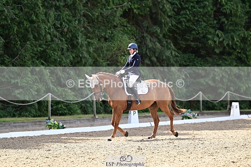 260802A-103815-05548 - Novice Silver break - break