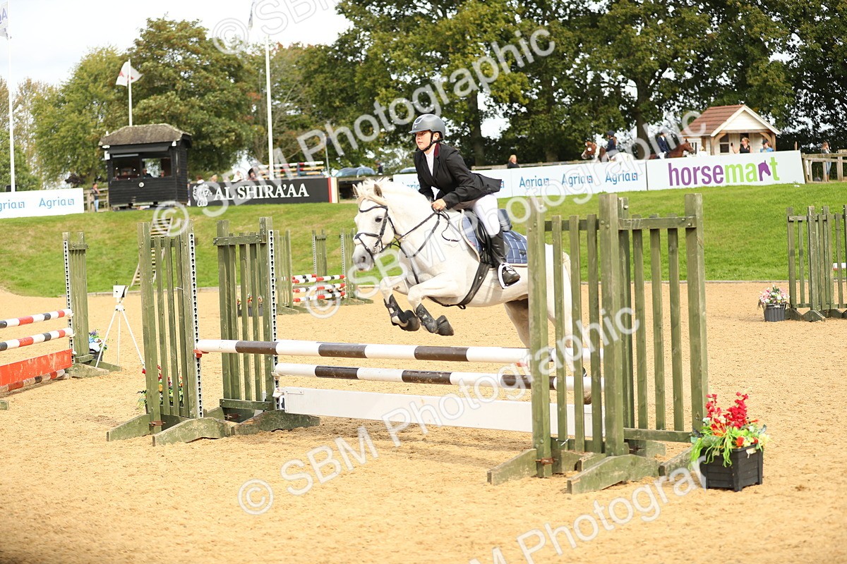 SBM_70200 - J18 - Junior Pony 85cm Championship