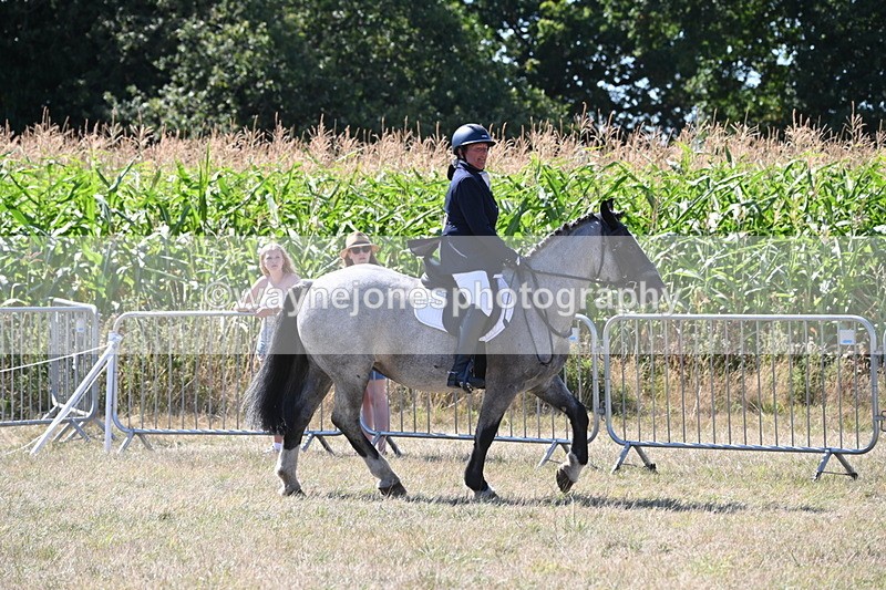 WJ6_8908 - Class 38 Ridden Riding Horse/Pony