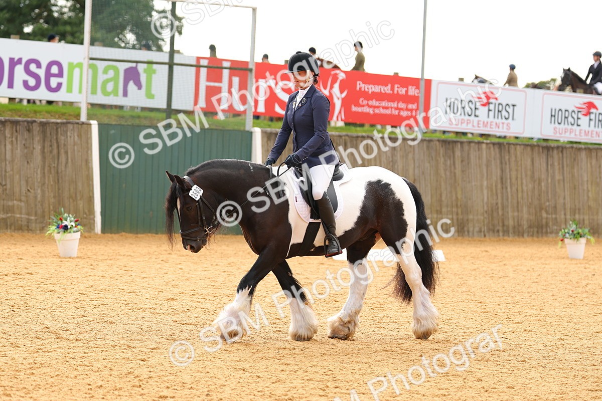 SBM_47421 - D6 - Small Tour Championship - Intro C