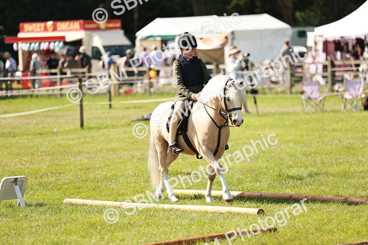 SBM_12663 - Class 106-107 - BSPS LIHS Working Sports Pony