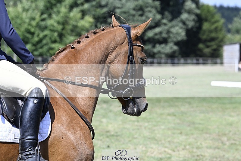 250822A-131449-22129 - DR 12.00 to End