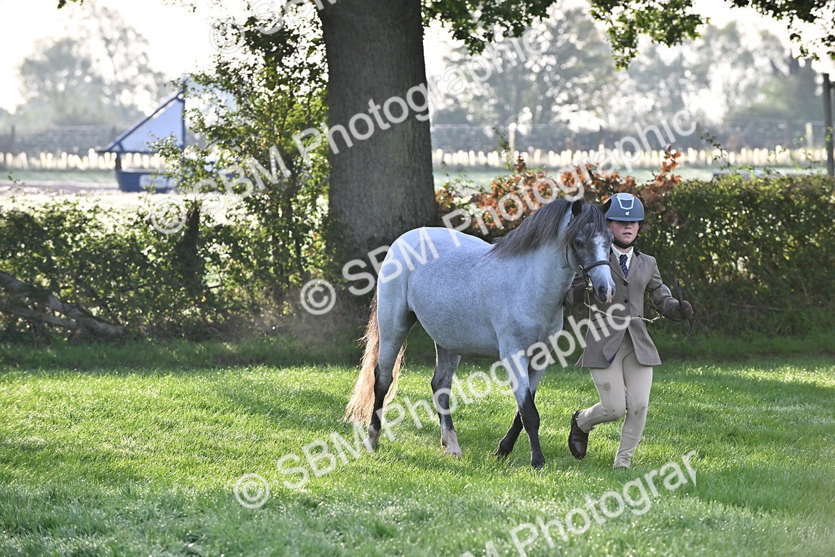 SBM_54626 - S44 - Youngstock In Hand