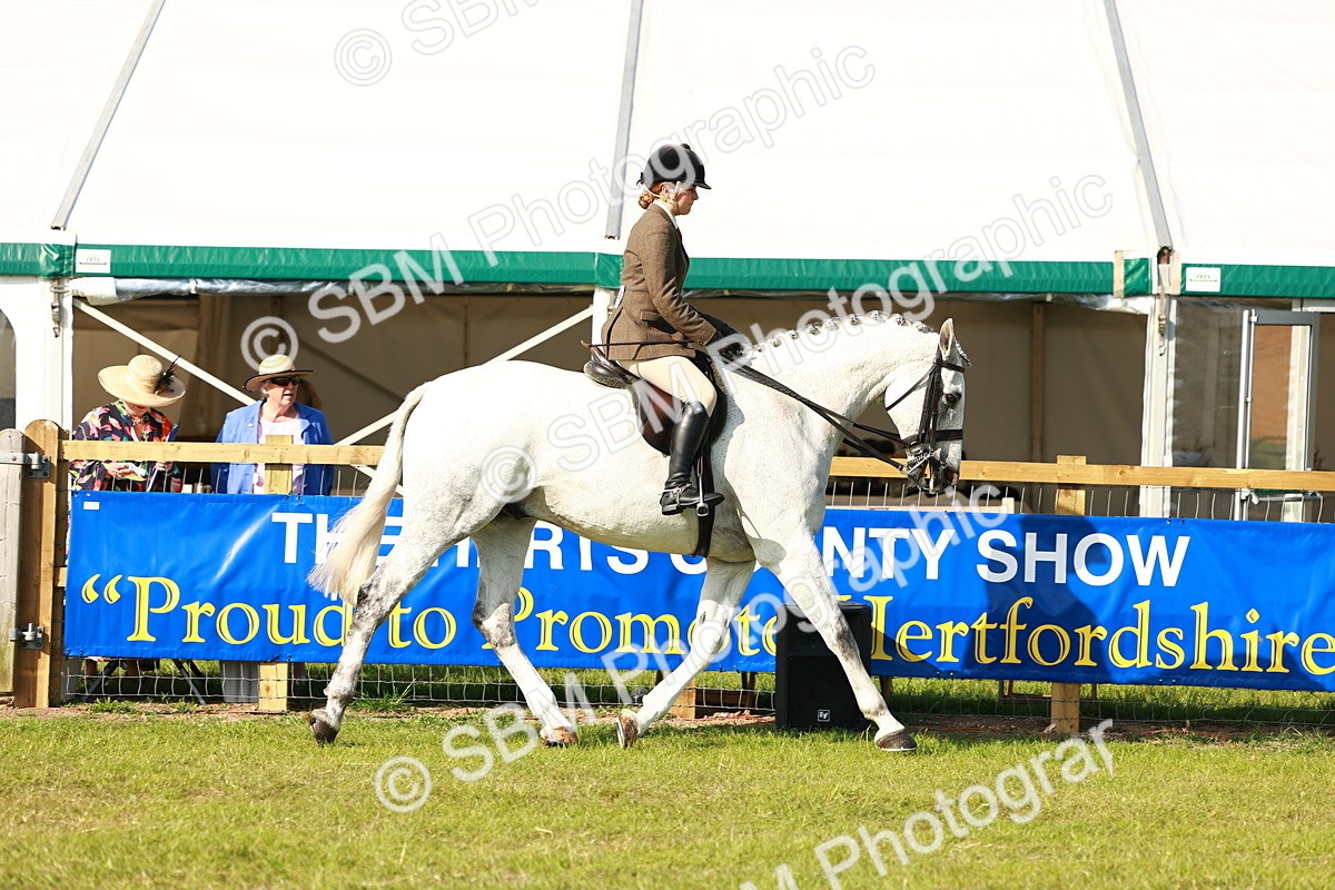 SBM_10877 - Class 66-69 - RIHS Ridden Hunters Inc Small Hunter