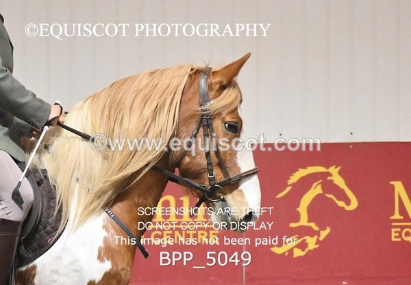 BPP_5049 - CLASS 3 40CM