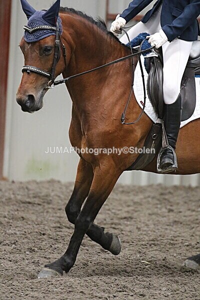 SIAL4955 - CAbin Dressage 5th july 2025