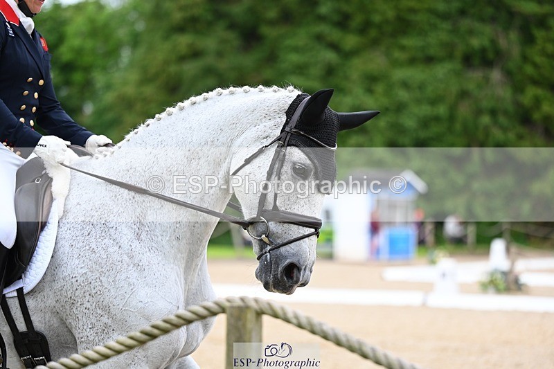 240524-154501-10575 - 538-HESTER-Laura_Collett