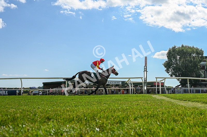 080726-Race 5-Sugarpiehoneybunch-3943 - Race 5 16.00pm Bet At racingtv.com Handicap