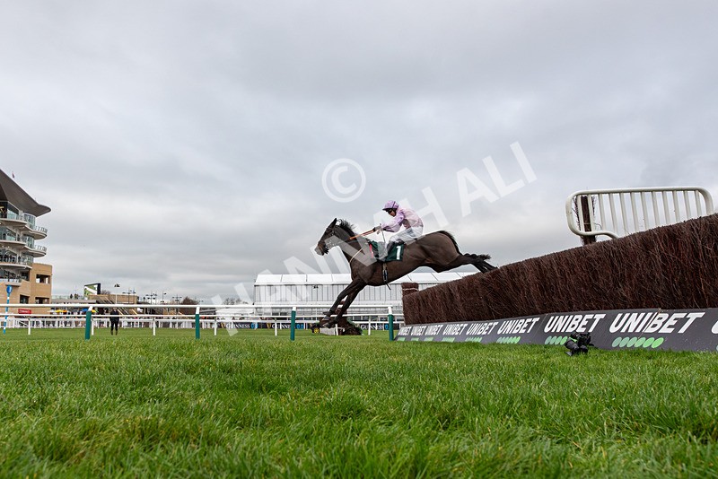 121225-Race 2-Sixmilebridge-3459 - Race 2