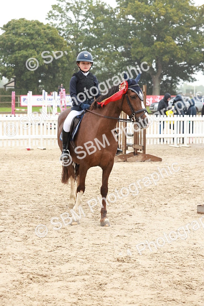SBM_73571 - Supreme Championship Junior Pony 60cm & 65cm
