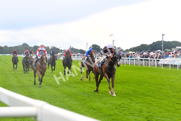 150723-Race 1-Blue For You-0082 - Race 1 2.00pm John Smith's Racing Handicap
