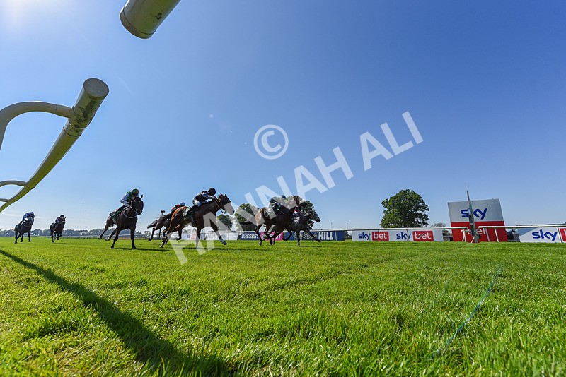 180524-Race 5-Tinto-6569 - Race 5