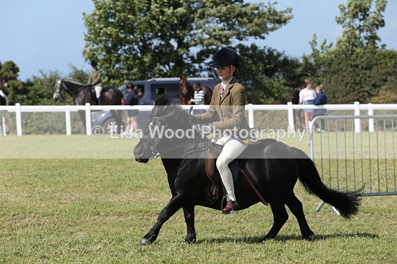 1X9A5616 - Class 39: NPS Dartmoor, Exmoor, Shetland