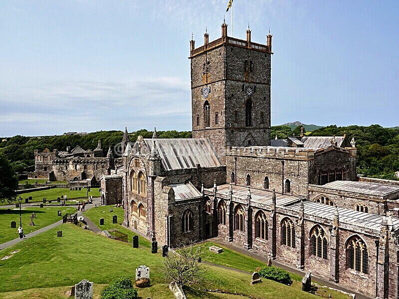 DSC00451 - Skomer 2019