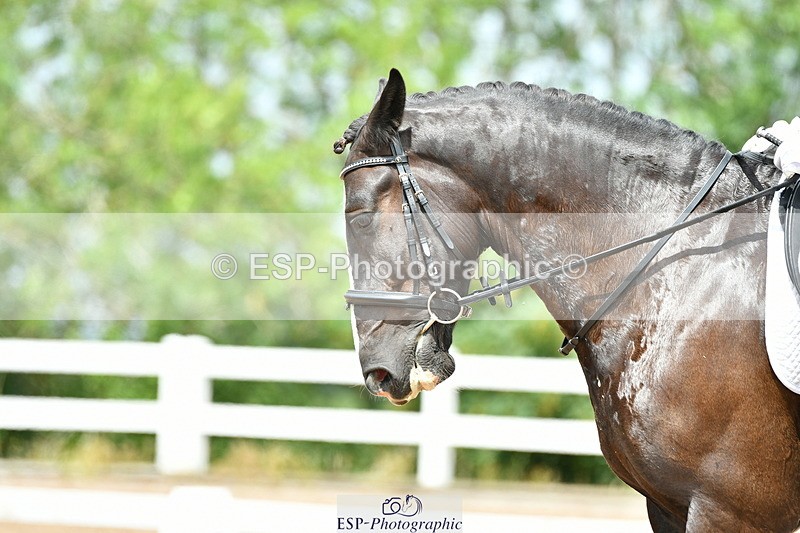 230702A-123104-09296 - Cls 29 Elementary 57