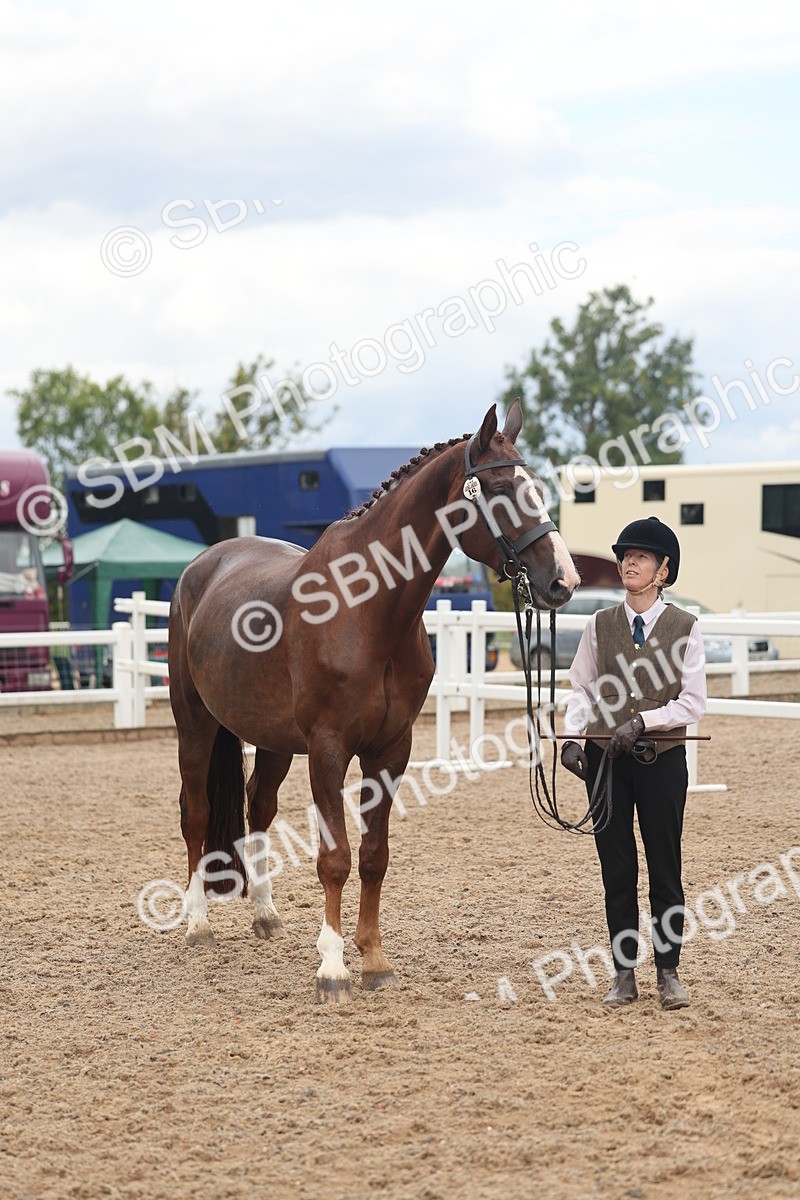 SBM_07768 - Class 27 - IH Competition Horse/Pony