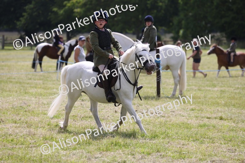 20260614-0727 - Class 20 - Beginners Working Hunter Pony