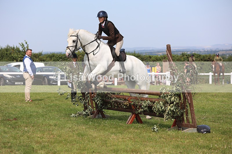 JPP_3711 - Class 23: Working Hunter 80cm