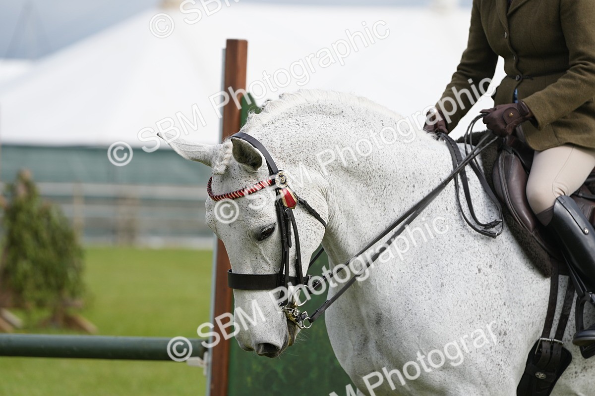 SBM_10598 - Class 97-98 - LIHS BSHA Rising Star Working Show Horse Hunter