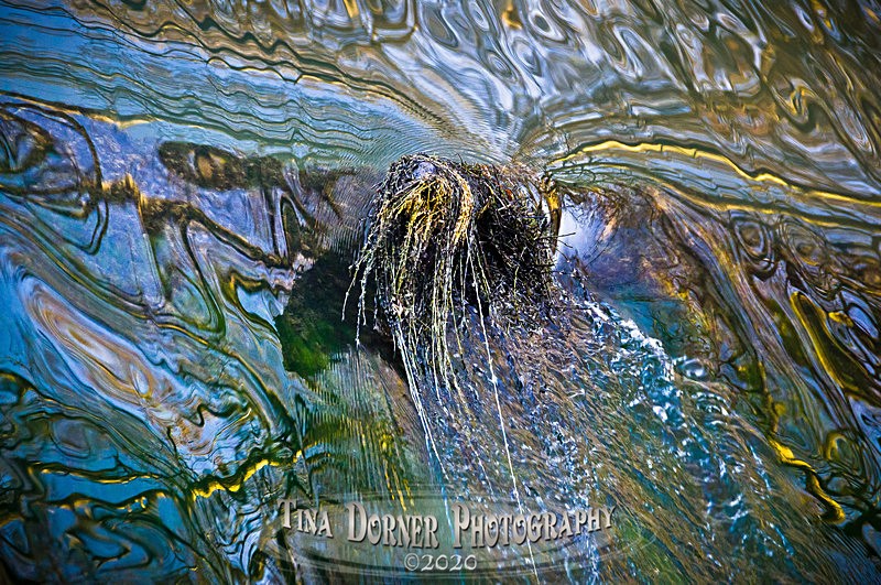 Stripy Water Maze - Waters Meet
