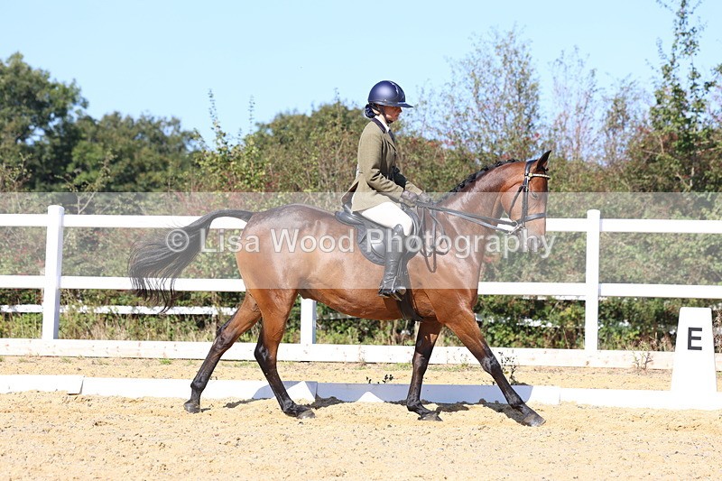 3E7A5701 - Class 10: Riding Horse