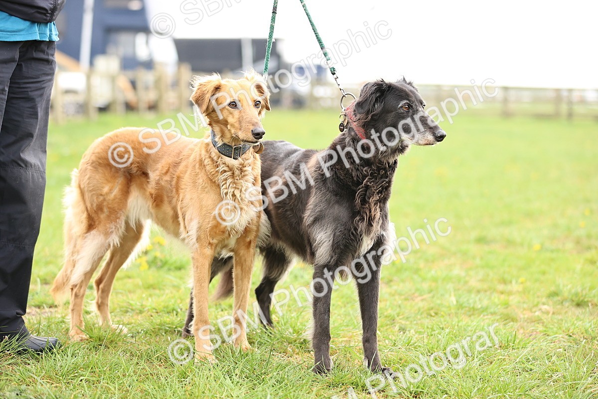 SBM_000257 - Class 3 - P4