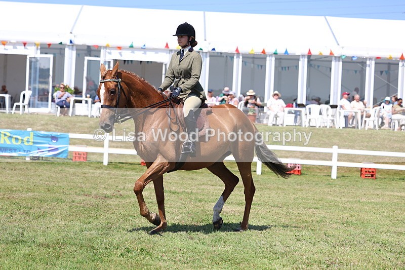 3E7A7839 - Class 7: Open Riding Horse