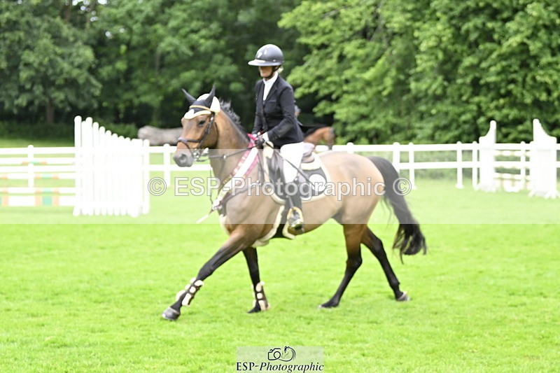 250613A-135855-02441 - Cls 3 Snr Foxhunter