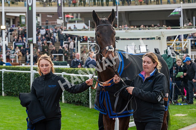 161125-Race 1-Ribba Hill-1230 - Race 1
