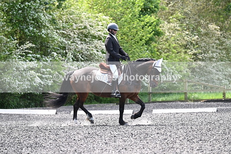 WJ7_8777 - Time 11:32 to 11:54