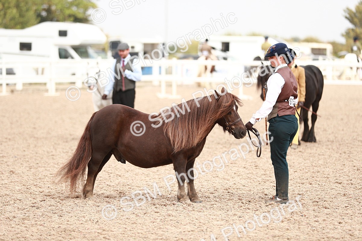 SBM_12515 - Class 207 IH M&M