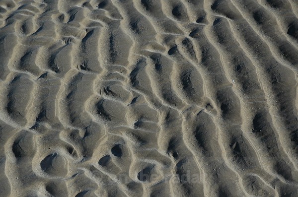Holkham 2 - Beachscapes