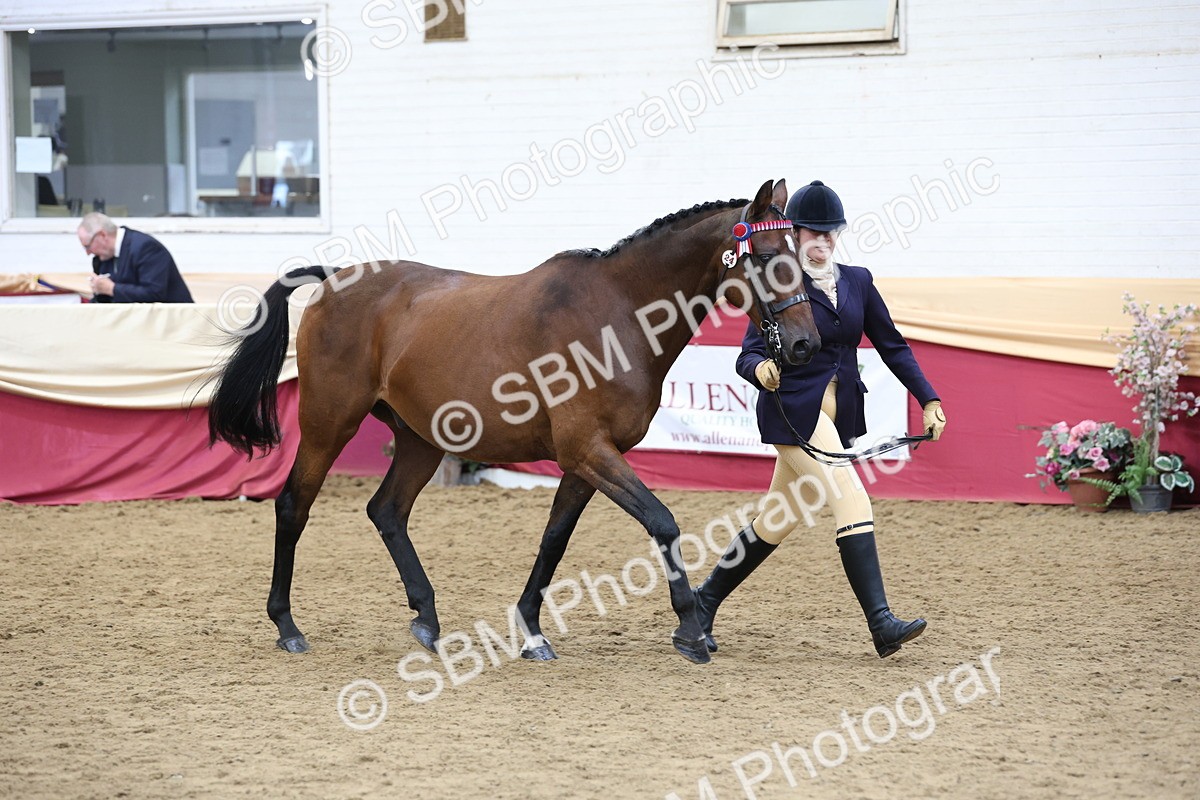 SBM_24083 - Class 905 - Supreme Final - Ridden Veteran