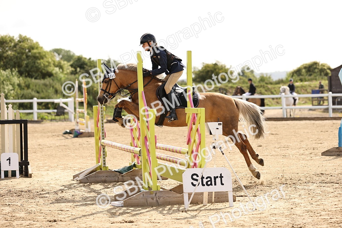 SBM_006633 - Class 1 - 70cm showjumping