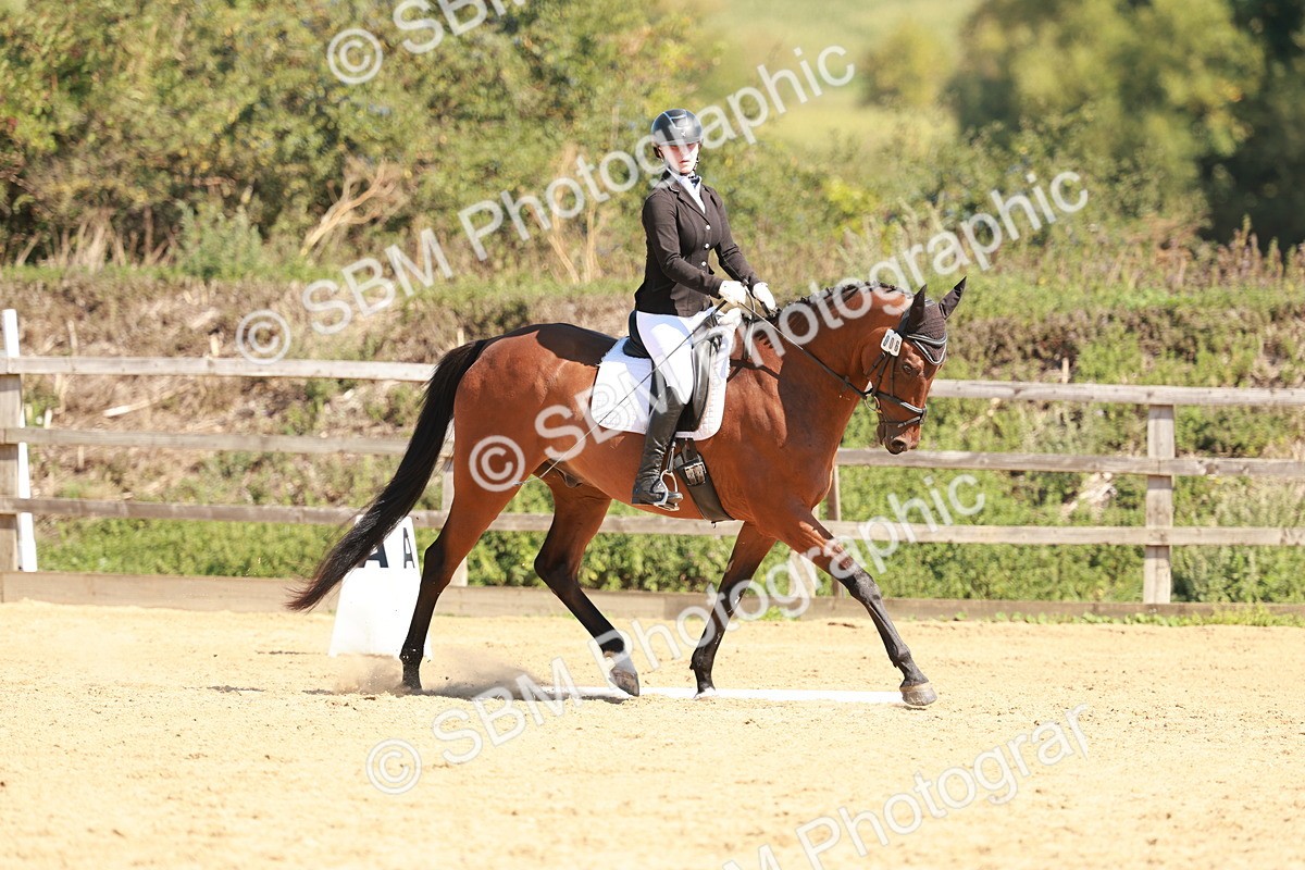 SBM_010816 - Class 7 - Novice 2